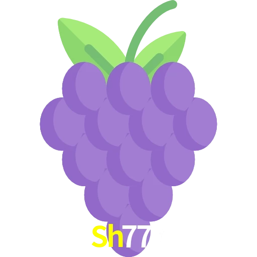 Sh777